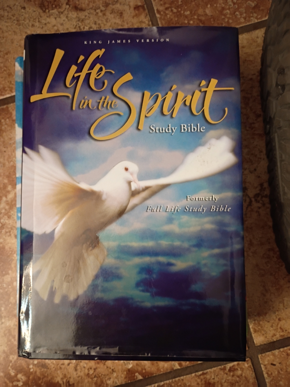 Life in the Spirit Study Bible - Dove Cover in Blue